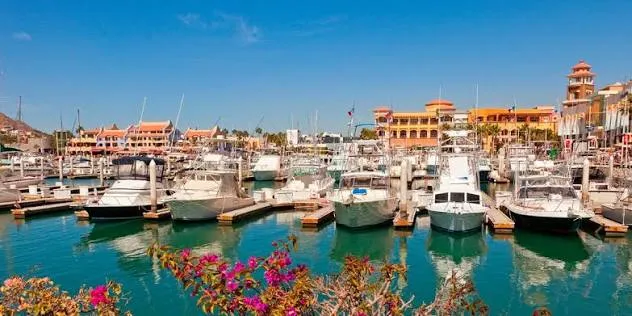 Cabo San Lucas, Mexico 4 Cabo San Lucas Marina