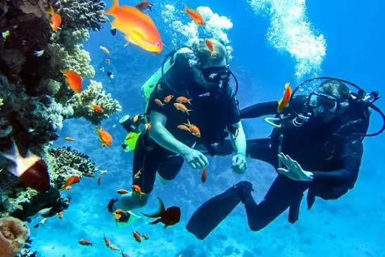 Cabo San Lucas, Mexico 9 Snorkeling & Water Activities